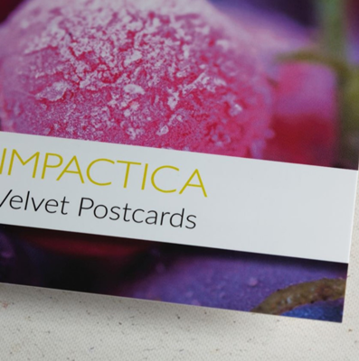 Velvet Touch Postcard