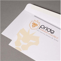 #10 Business Envelopes